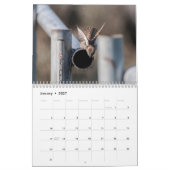 Calendrier (Jan 2027)