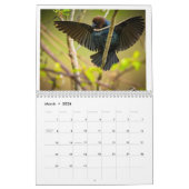 Calendrier (Mar 2026)