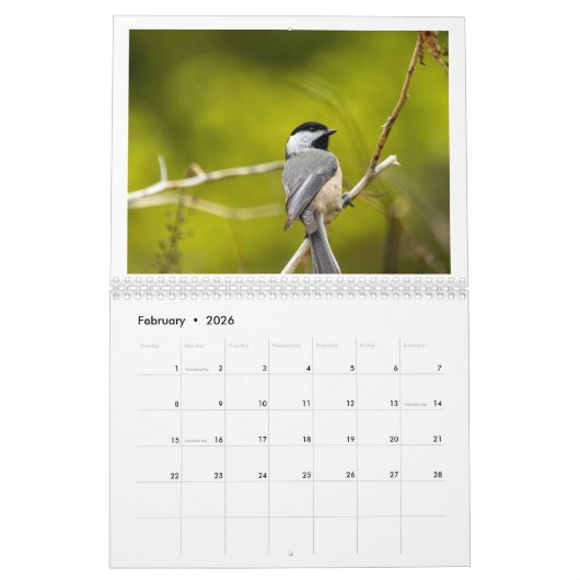 Calendrier (Feb 2026)