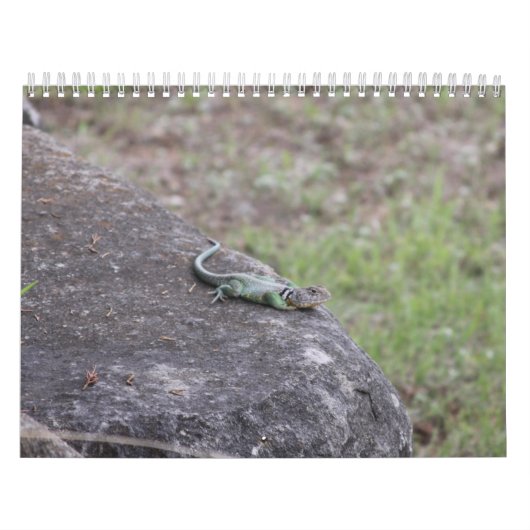 Calendrier (Protection)