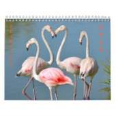 Calendrier (Protection)