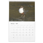 Calendrier (Feb 2027)