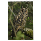 Calendrier (Protection)