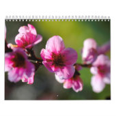 Calendrier (Protection)