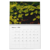 Calendrier (Feb 2026)