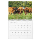 Calendrier (Mar 2027)