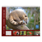 Calendrier (Protection)