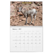 Calendrier (Feb 2027)