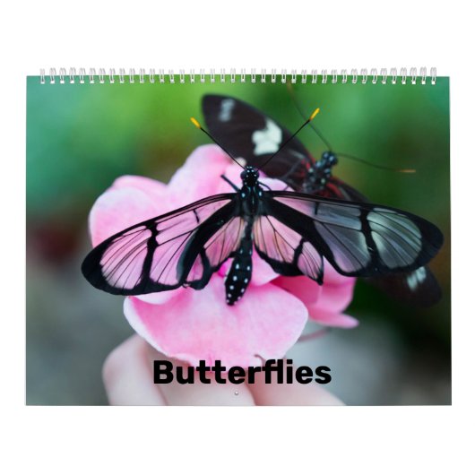 Calendrier (Protection)