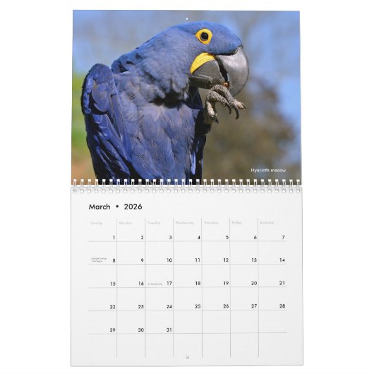 Calendrier (Mar 2026)