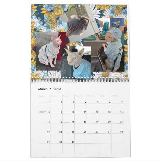 Calendrier (Mar 2026)