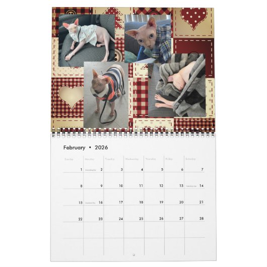 Calendrier (Feb 2026)