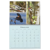 Calendrier (Feb 2026)