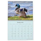 Calendrier (Jan 2026)