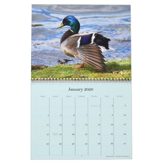 Calendrier (Jan 2026)