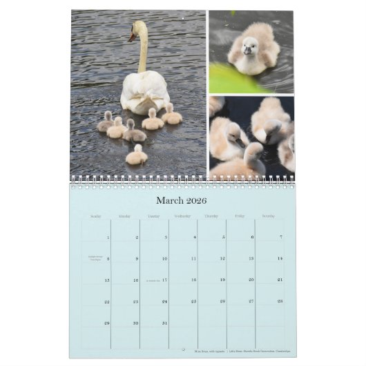 Calendrier (Mar 2026)