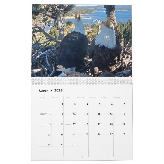 Calendrier (Mar 2026)