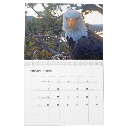 Calendrier (Feb 2026)