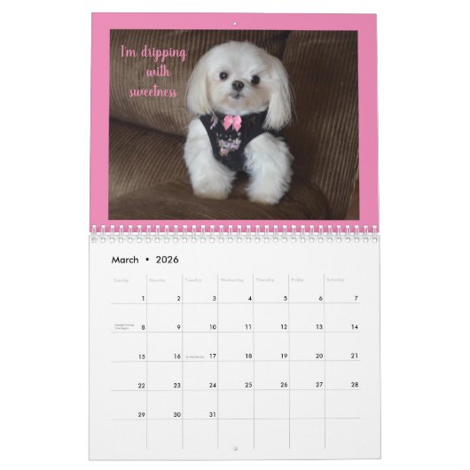 Calendrier (Mar 2026)