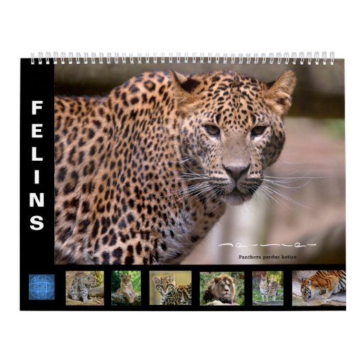 Calendrier (Protection)