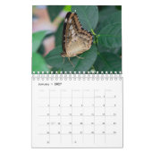 Calendrier (Jan 2027)