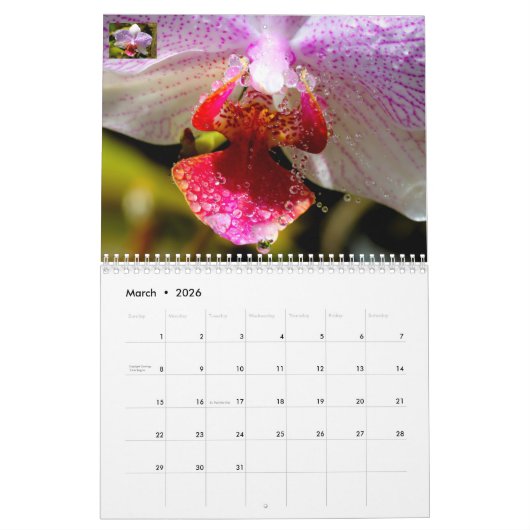 Calendrier (Mar 2026)