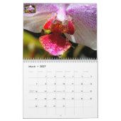 Calendrier (Mar 2027)