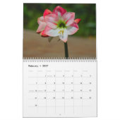 Calendrier (Feb 2027)