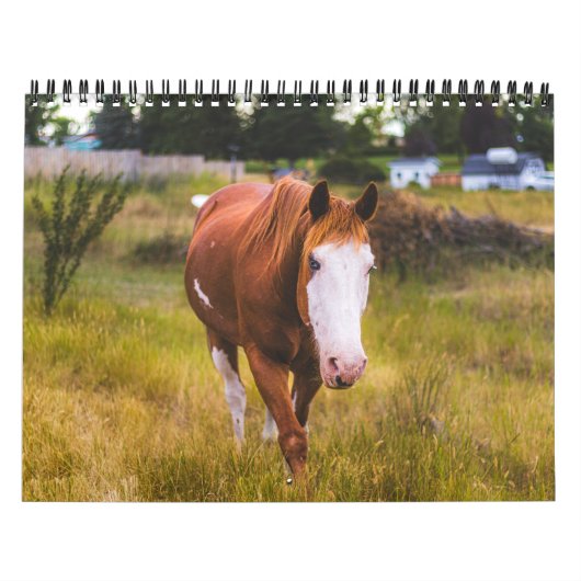 Calendrier (Protection)