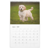 Calendrier (Mar 2027)
