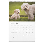 Calendrier (Feb 2027)