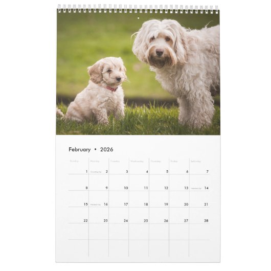 Calendrier (Feb 2026)