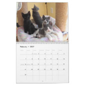 Calendrier (Feb 2027)