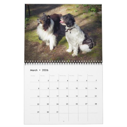 Calendrier (Mar 2026)