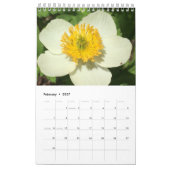 Calendrier (Feb 2027)