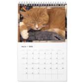 Calendrier (Mar 2026)