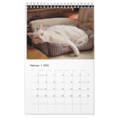 Calendrier (Feb 2026)