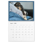 Calendrier (Mar 2026)