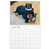 Calendrier (Jan 2026)