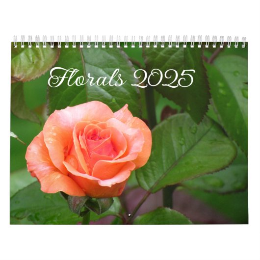 Calendrier (Protection)