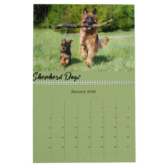 Calendrier (Jan 2026)