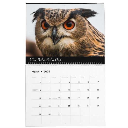 Calendrier (Mar 2026)