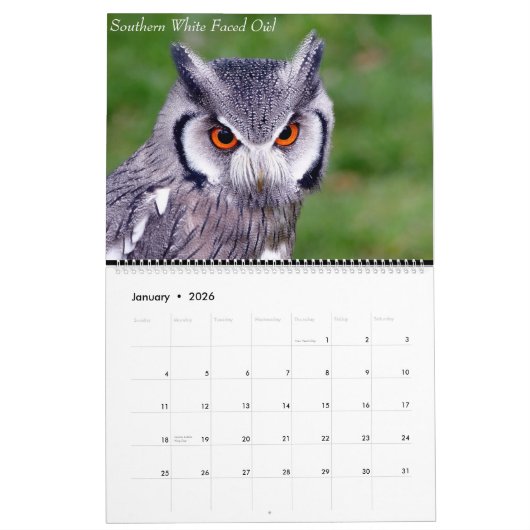 Calendrier (Jan 2026)