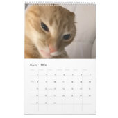 Calendrier (Mar 2026)