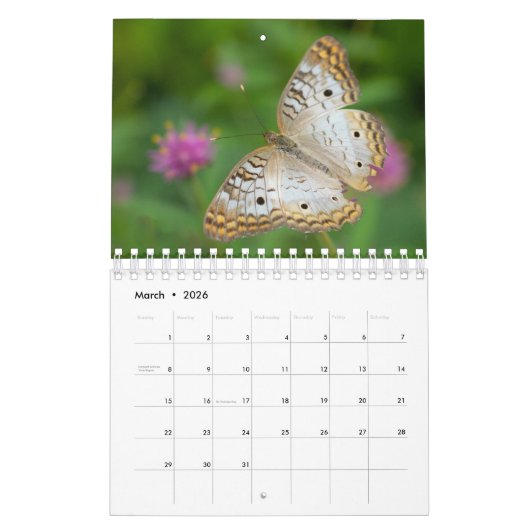 Calendrier (Mar 2026)