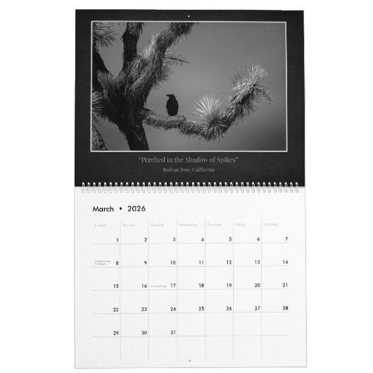 Calendrier (Mar 2026)