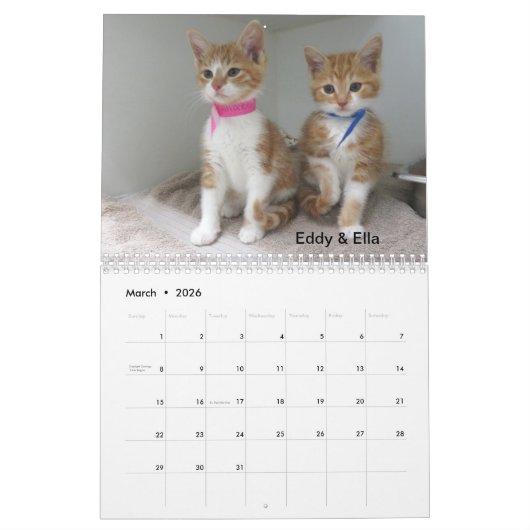 Calendrier (Mar 2026)