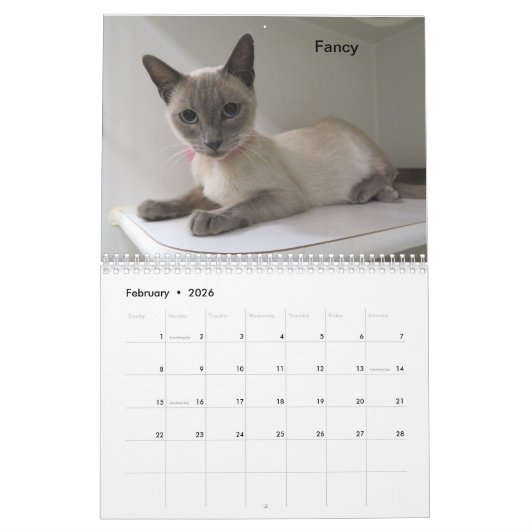 Calendrier (Feb 2026)