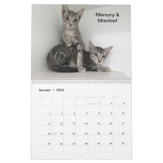 Calendrier (Jan 2026)