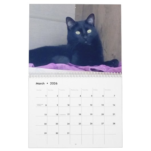 Calendrier (Mar 2026)